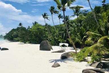 Traumhafte Flitterwochen auf den Seychellen