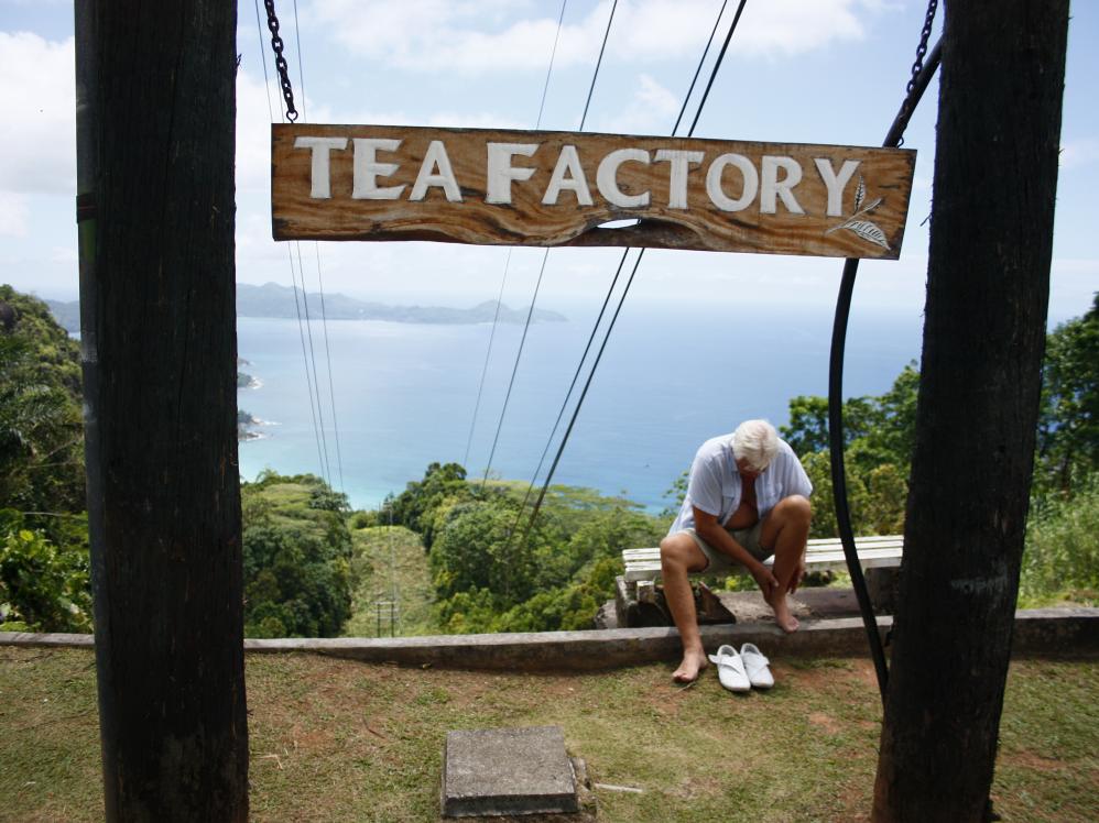 Tee-Plantage auf Mahé