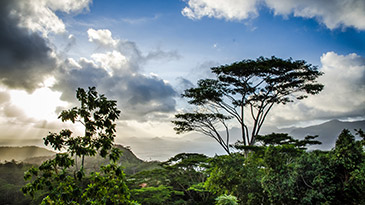 Activités aux Seychelles - randonnées et marche à pied