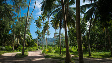 Die Flora und Fauna der Seychellen