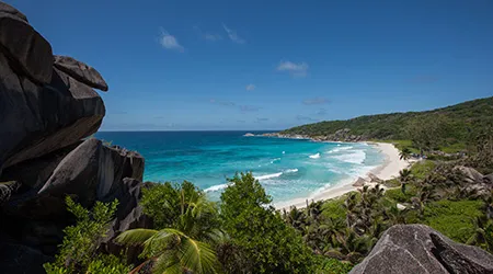 image - Peace & focus