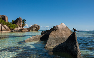 image - The stunning beach “Anse Source d'Argent”