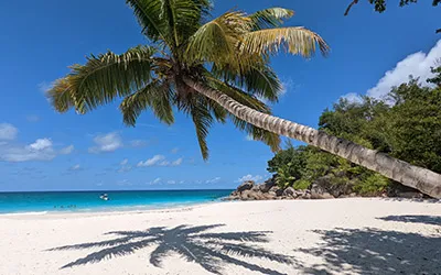 image - Anse Lazio – a picture-perfect beach