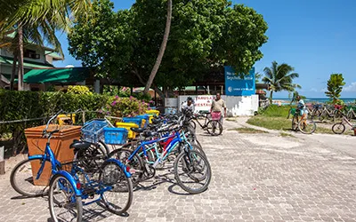 image - Exploring La Digue by bike