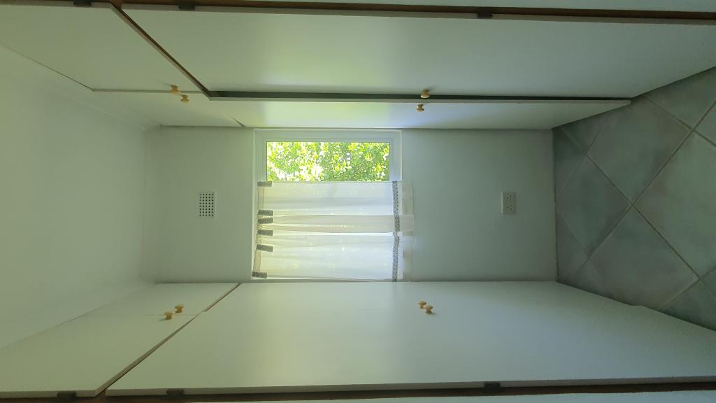 Foto 74: Fairy Tern - Cerf Island (Seychellen)