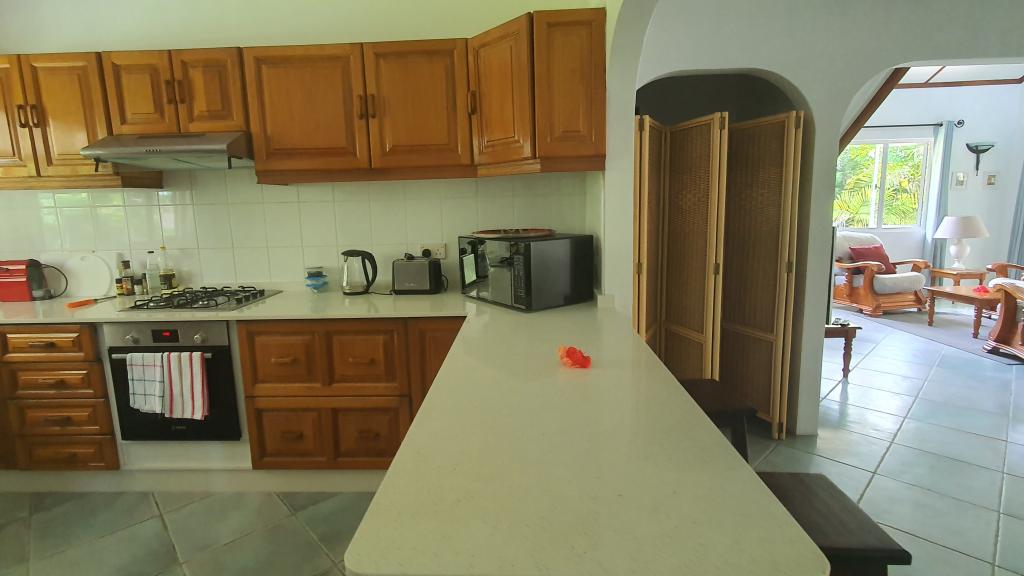 Foto 68: Fairy Tern - Cerf Island (Seychellen)