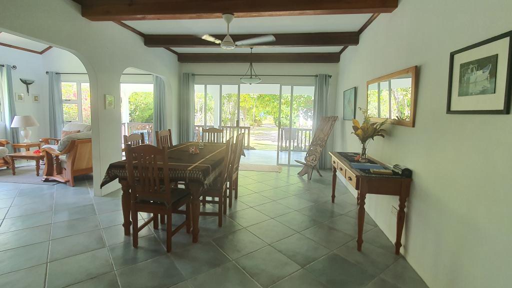 Photo 59: Fairy Tern - Cerf Island (Seychelles)
