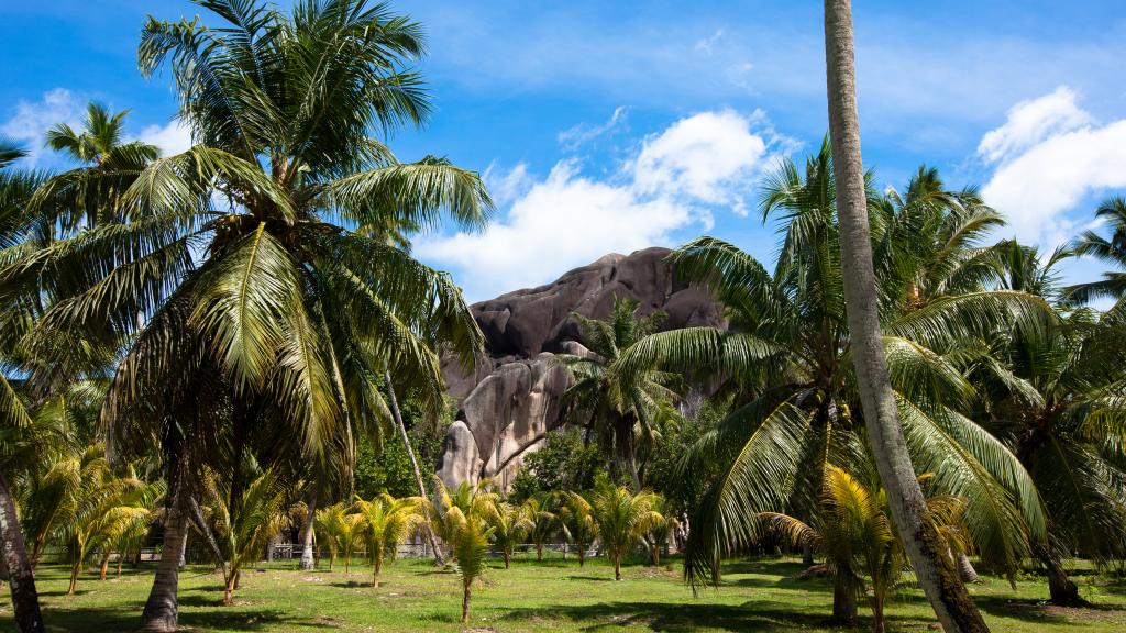 Photo 31: La Digue Island Lodge - La Digue (Seychelles)
