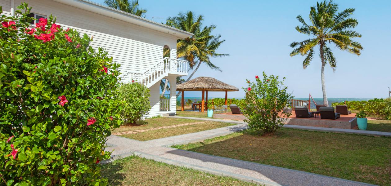 Le Tropique - Foto 1