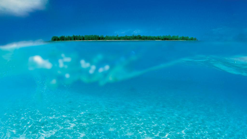 Photo 44: Denis Private Island - Denis Island (Seychelles)