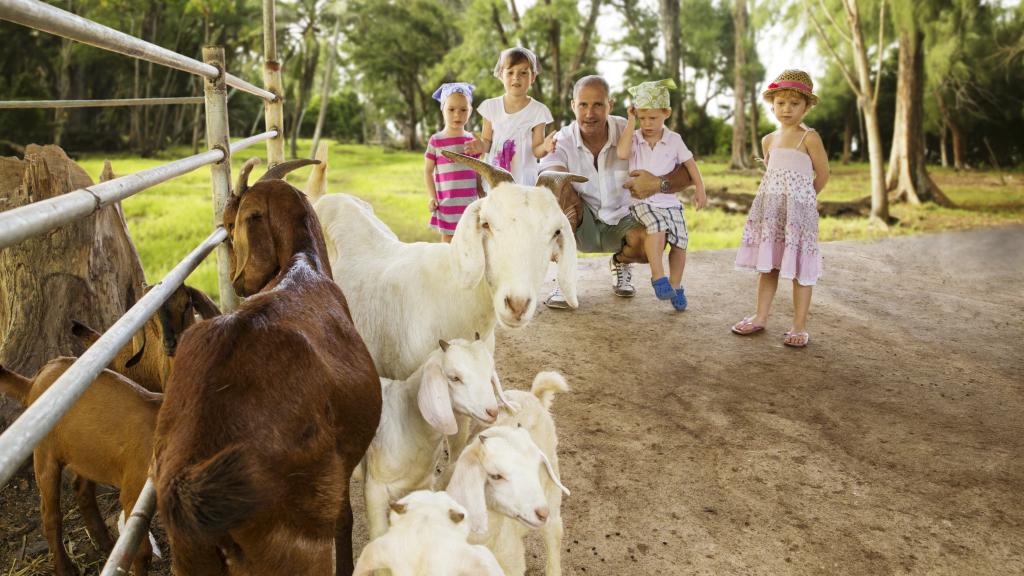 Photo 124: Denis Private Island - Denis Island (Seychelles)