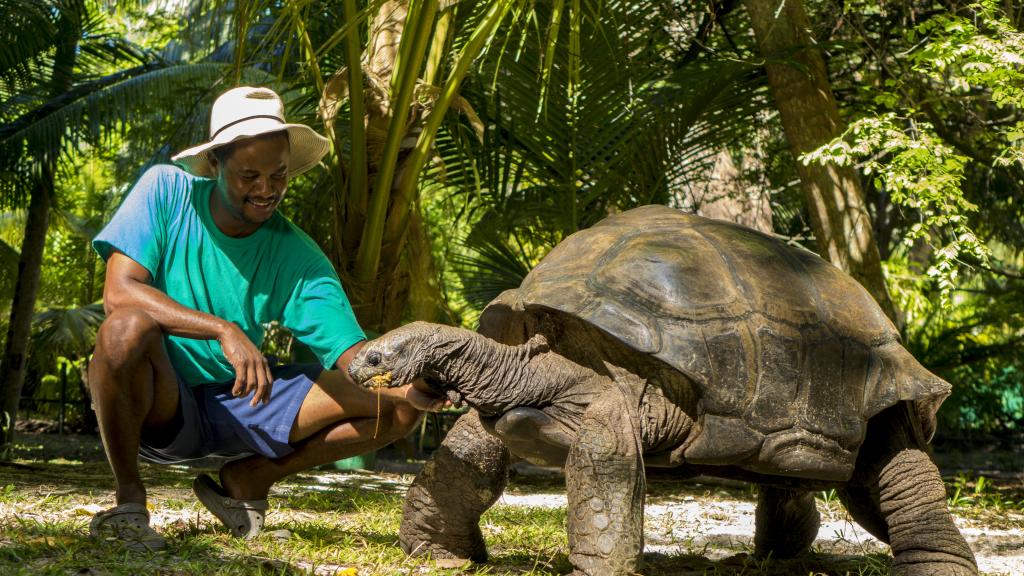 Photo 113: Denis Private Island - Denis Island (Seychelles)