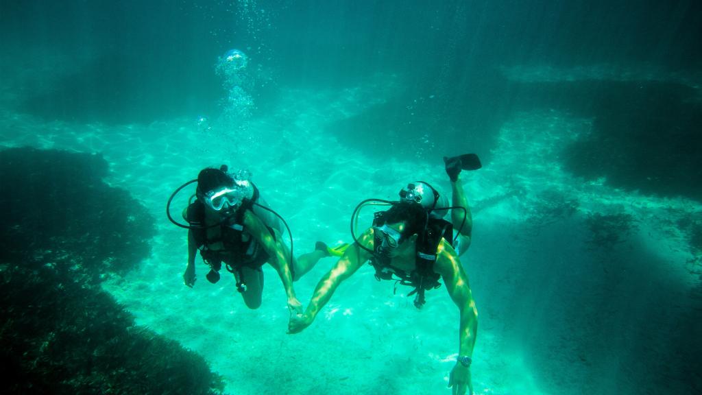Photo 148: Denis Private Island - Denis Island (Seychelles)