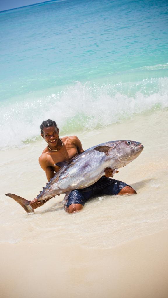 Photo 135: Denis Private Island - Denis Island (Seychelles)