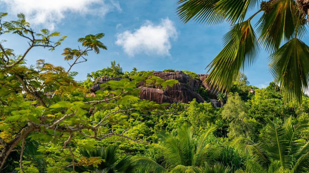 Foto 77: Kempinski Seychelles Resort Baie Lazare - Mahé (Seychelles)