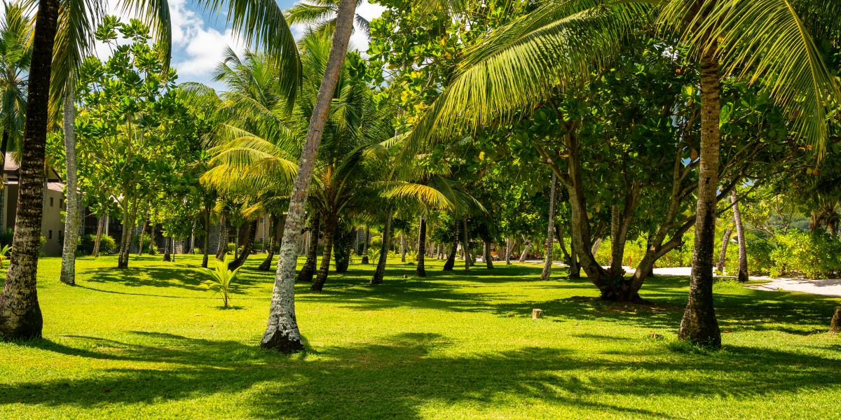 Kempinski Seychelles Resort Baie Lazare