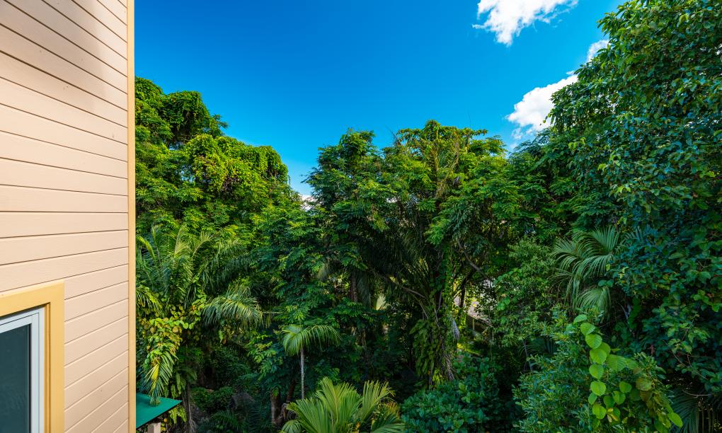 The Palm Seychelles - Appartement 1 chambre