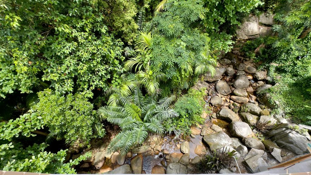 Foto 53: The Palm Seychelles - Mahé (Seychelles)