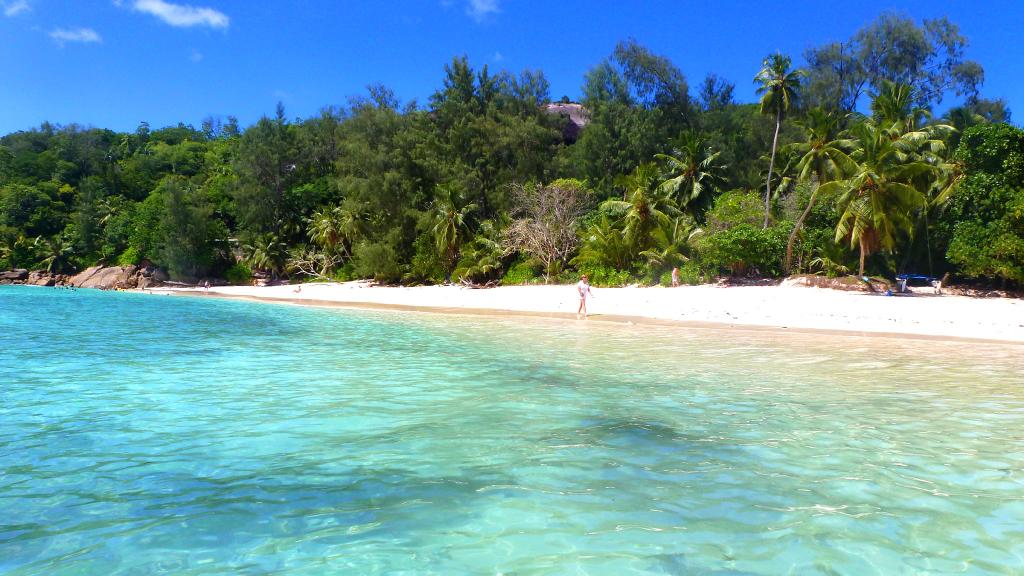 Foto 7: The Palm Seychelles - Mahé (Seychellen)