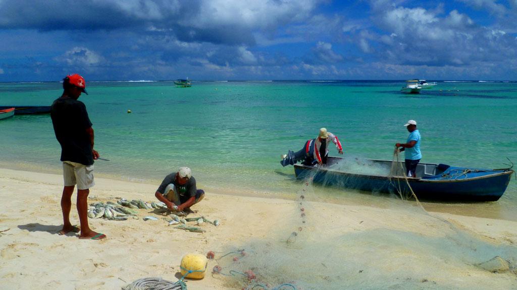 Foto 34: The Palm Seychelles - Mahé (Seychelles)