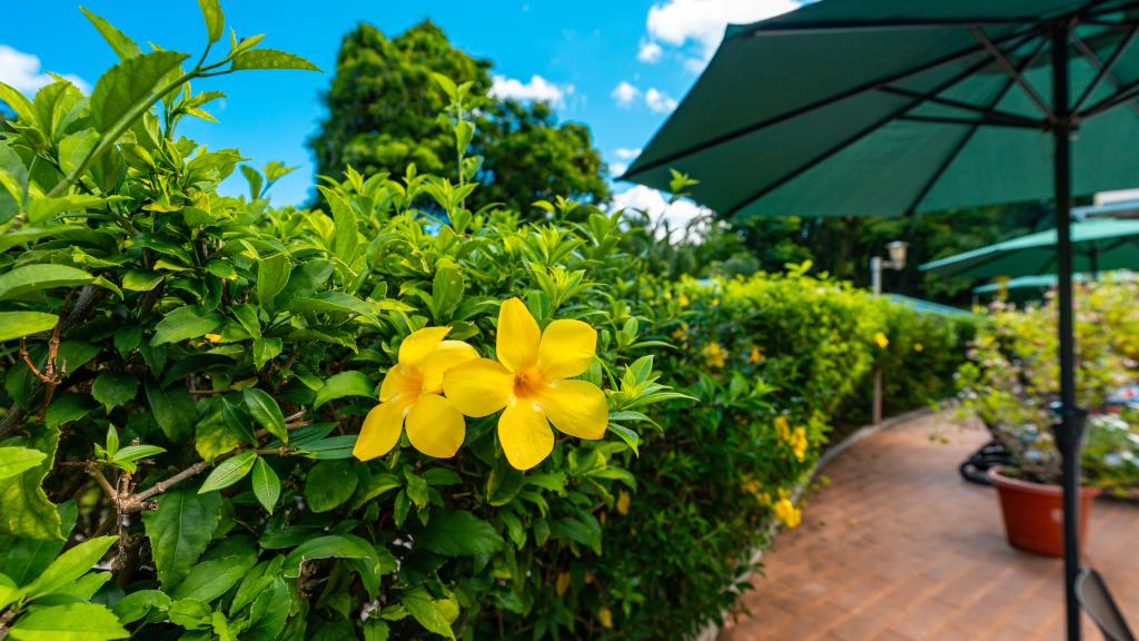 Foto 37: The Palm Seychelles - Mahé (Seychelles)