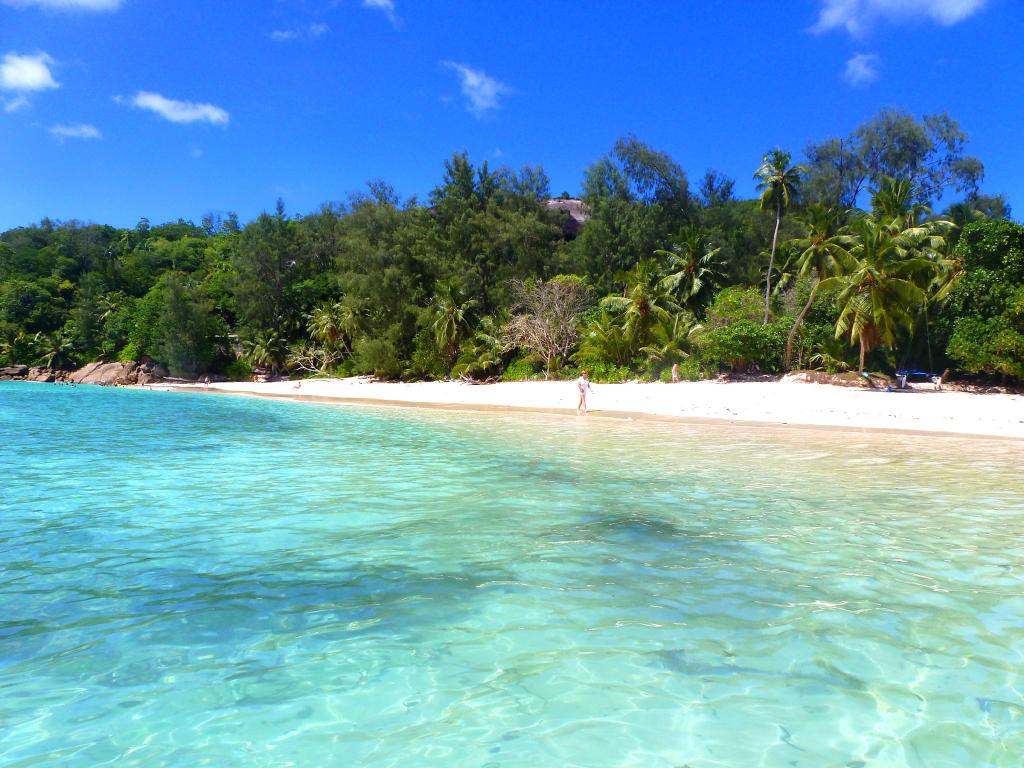 The Palm Seychelles - Foto 7