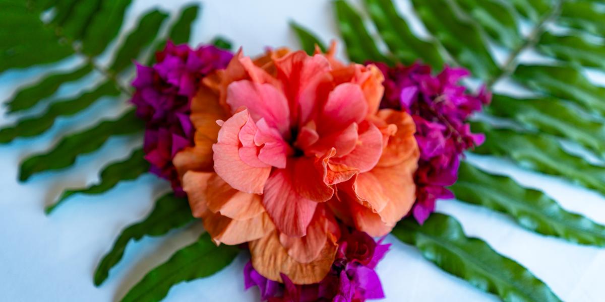 The Palm Seychelles - Appartement 2 chambres