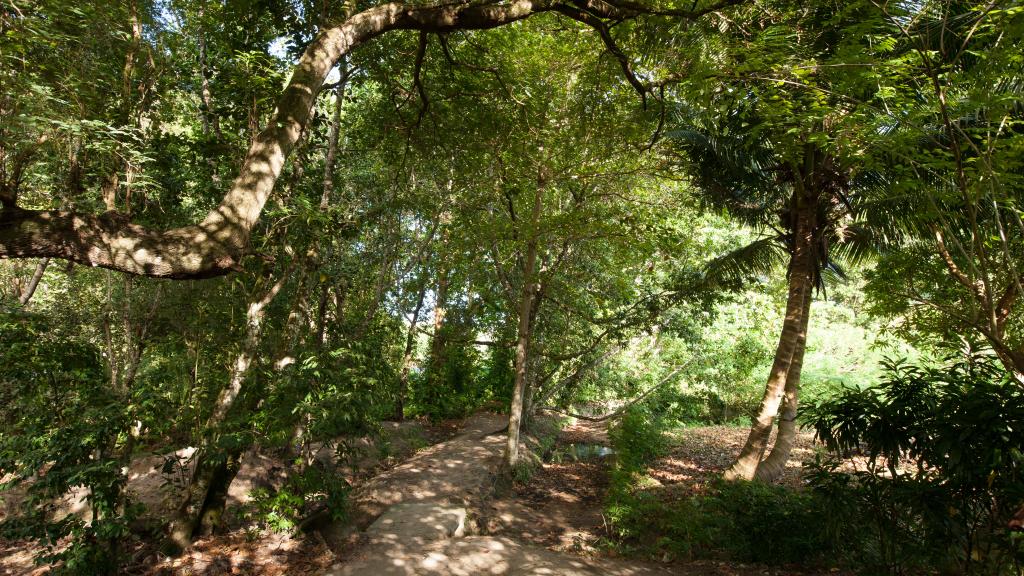 Photo 14: JMS Ventures - La Digue (Seychelles)