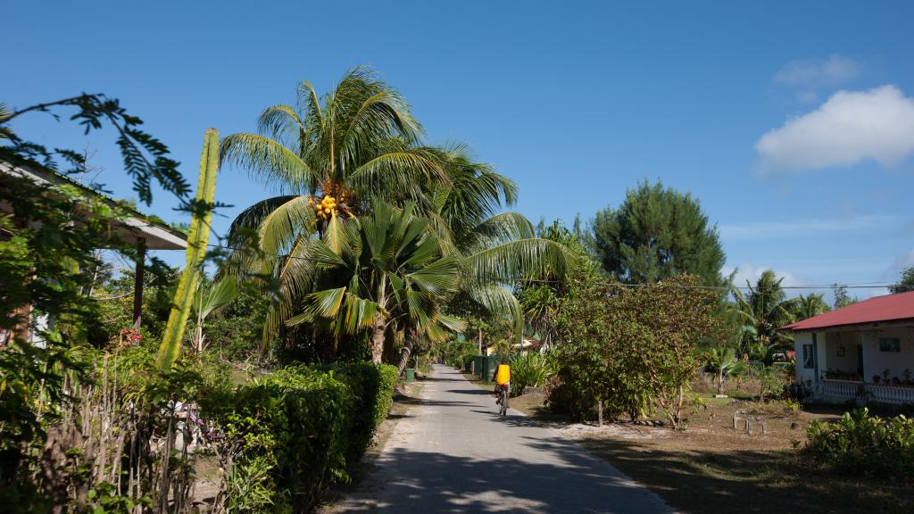 Photo 8: JMS Ventures - La Digue (Seychelles)