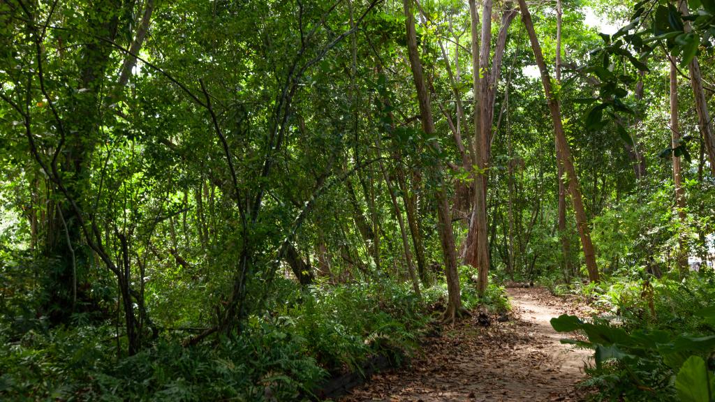 Foto 32: Villa Veuve - La Digue (Seychellen)