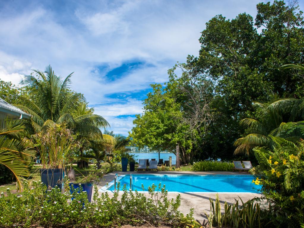 Tropical Sanctuary - Foto 7