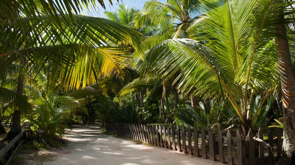 Foto 18: La Casa Grande - Praslin (Seychellen)