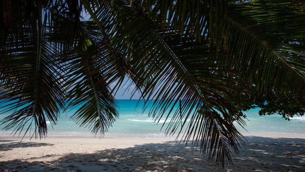 Foto 28: La Casa Grande - Praslin (Seychellen)