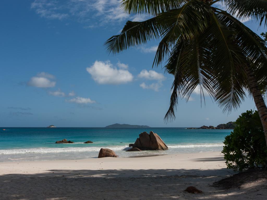 La Casa Grande - Foto 7