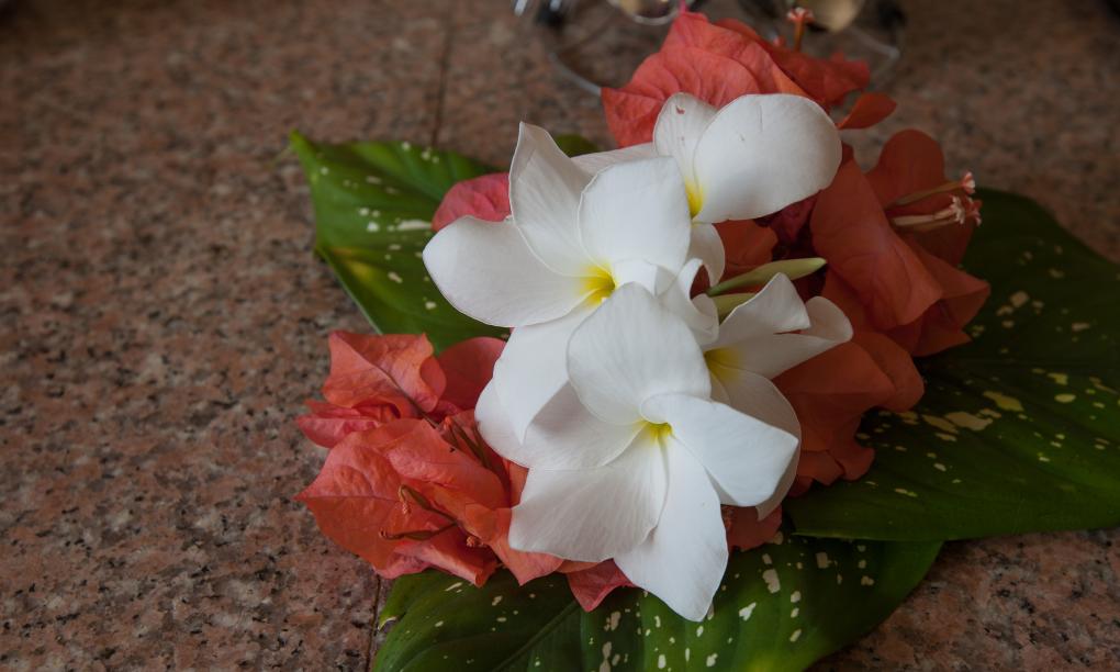 Le Relax Self Catering - Deluxe Appartement