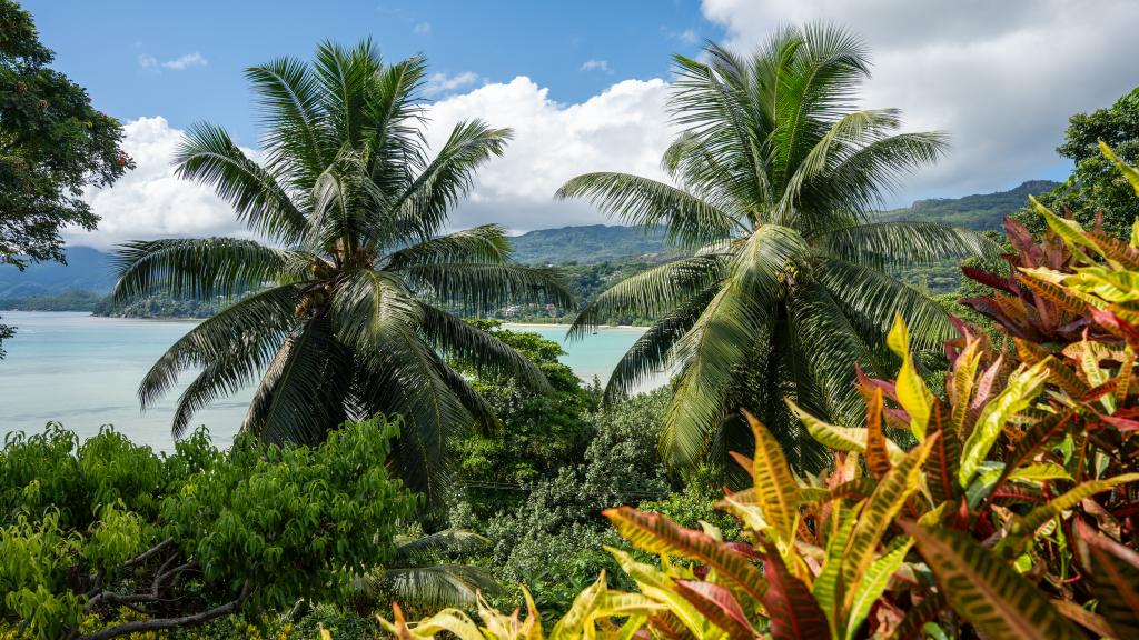 Photo 45: La Residence - Mahé (Seychelles)