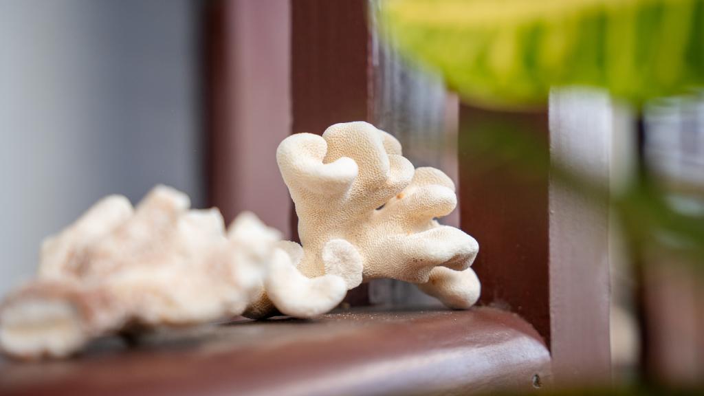 Foto 49: La Residence - Mahé (Seychellen)