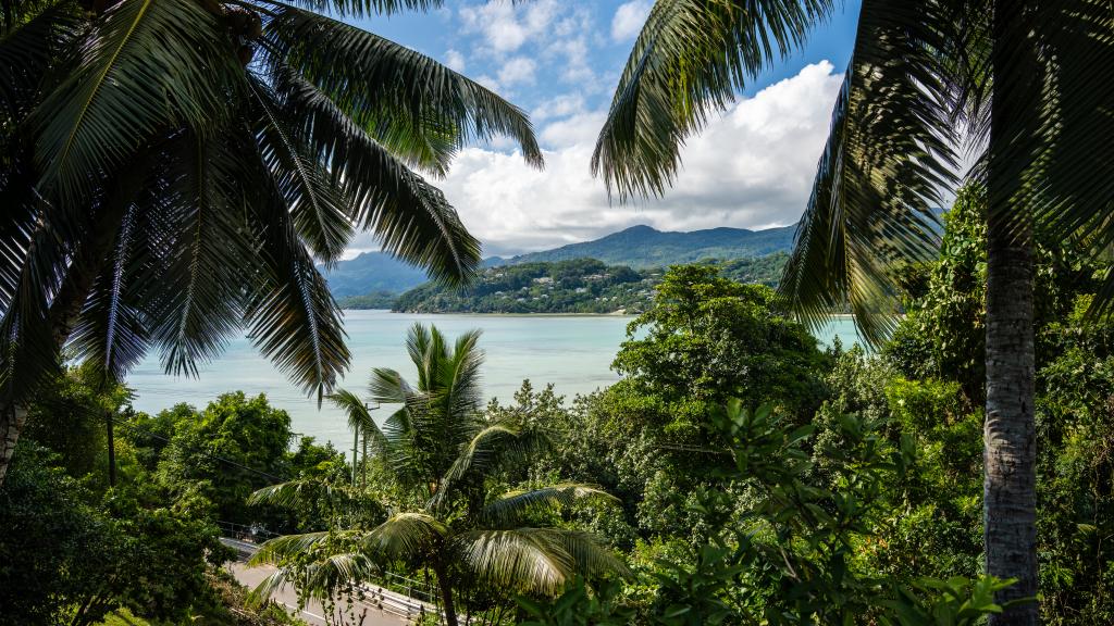 Photo 11: La Residence - Mahé (Seychelles)