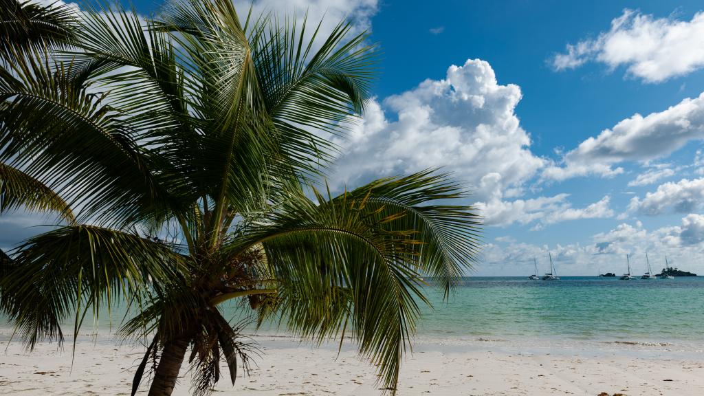 Foto 33: Village du Pecheur - Praslin (Seychelles)