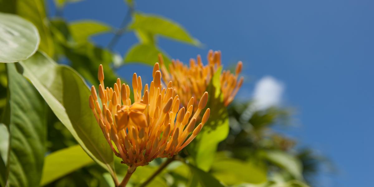 Le Repaire Boutique Hotel