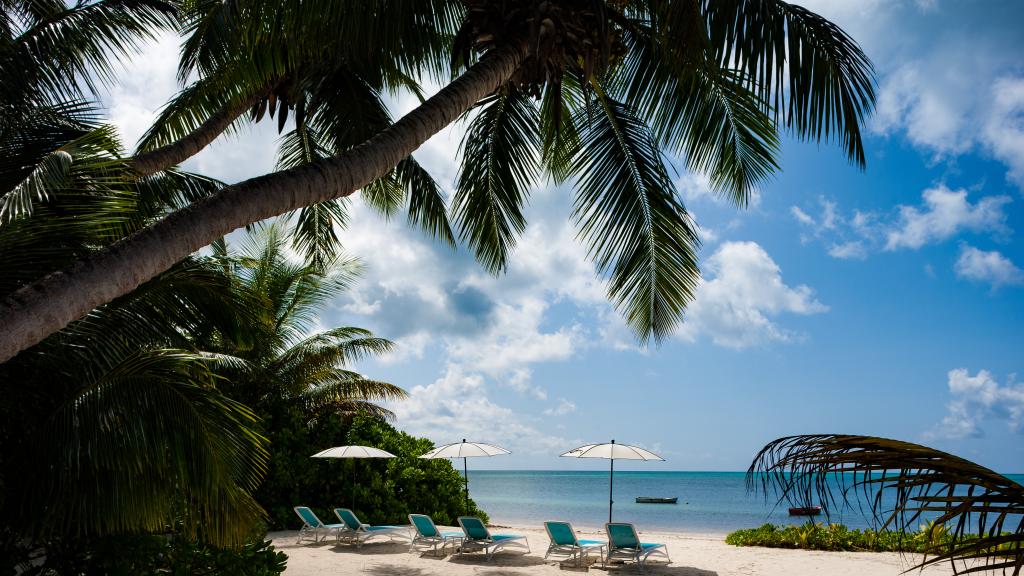 Photo 10: Ocean Jewels - Praslin (Seychelles)