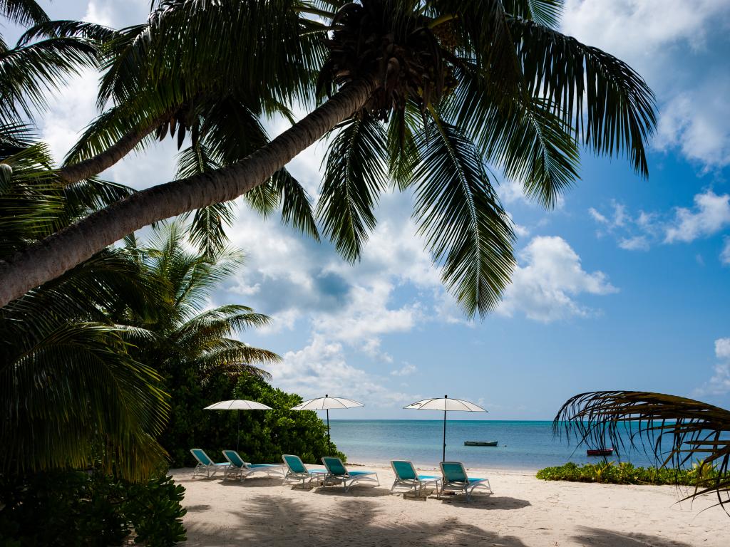 Ocean Jewels - Foto 6