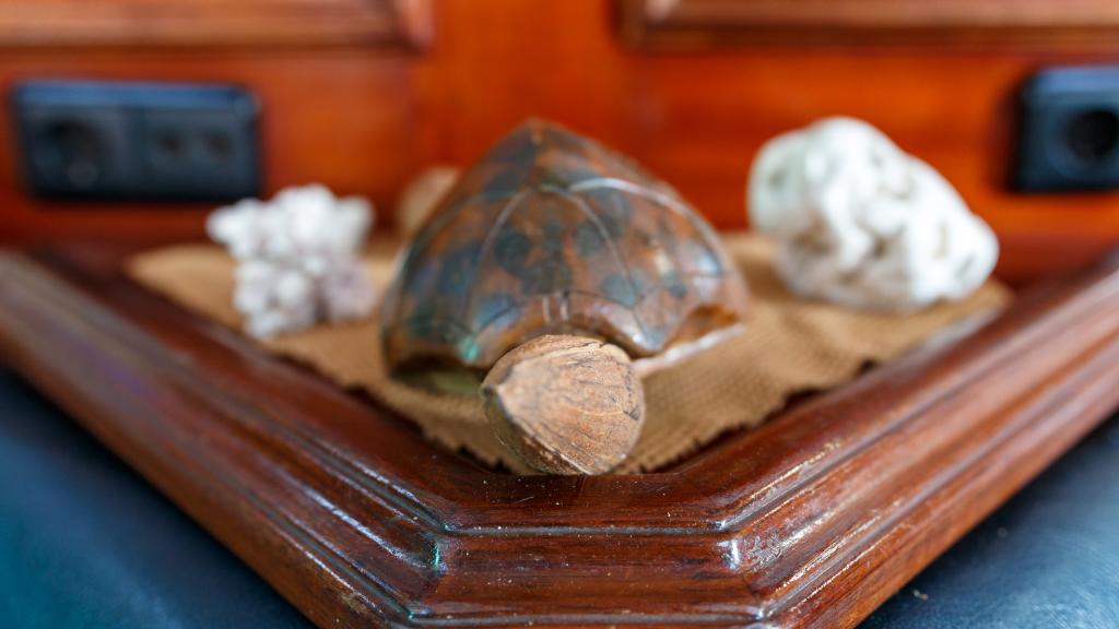 Photo 58: Silhouette Sea Pearl - Seychelles (Seychelles)