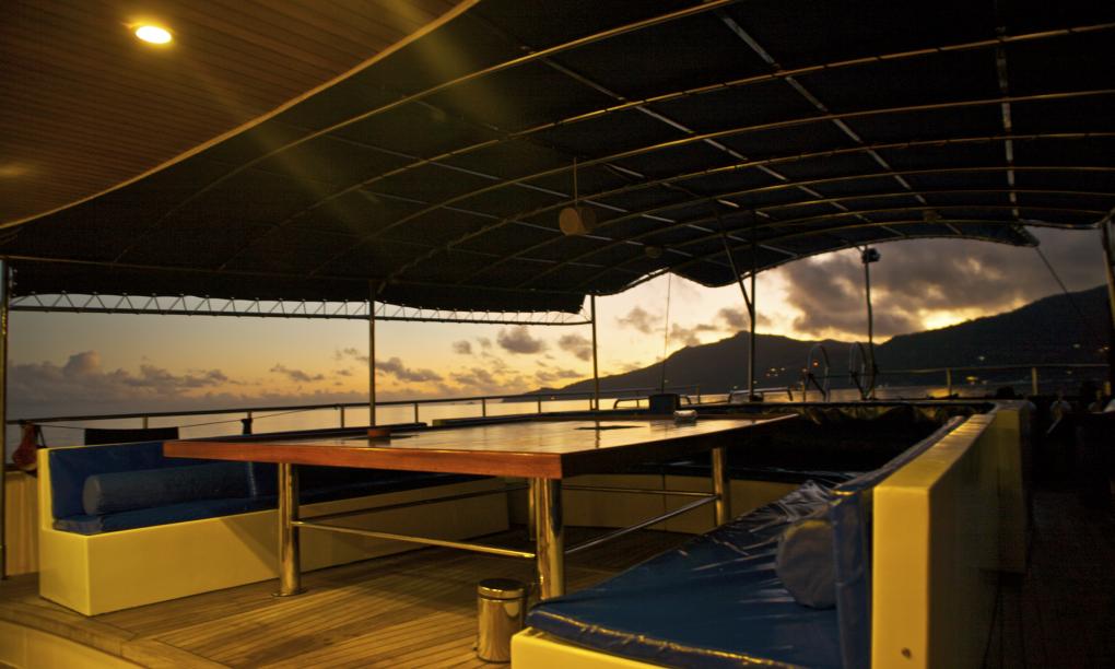 Silhouette Sea Star & Sea Bird