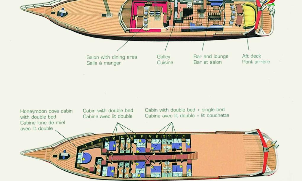 Silhouette Sea Star & Sea Bird