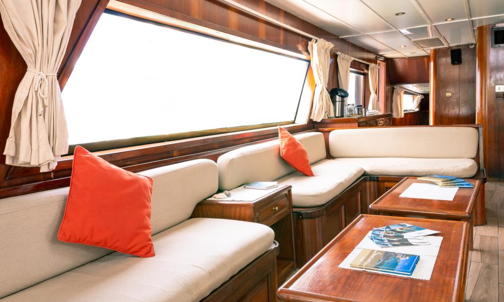 Silhouette Sea Star & Sea Bird