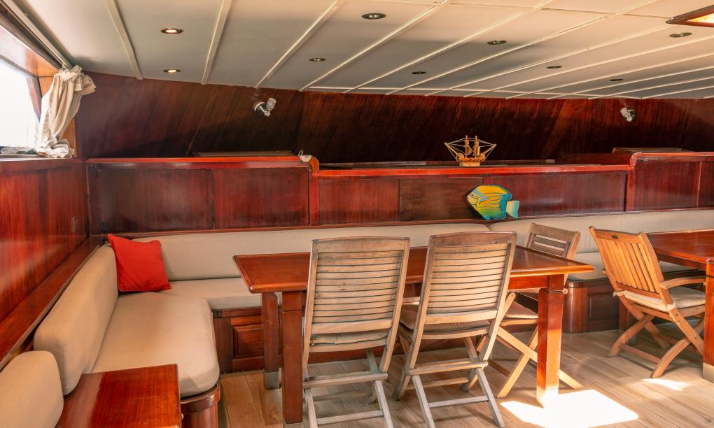 Silhouette Sea Star & Sea Bird