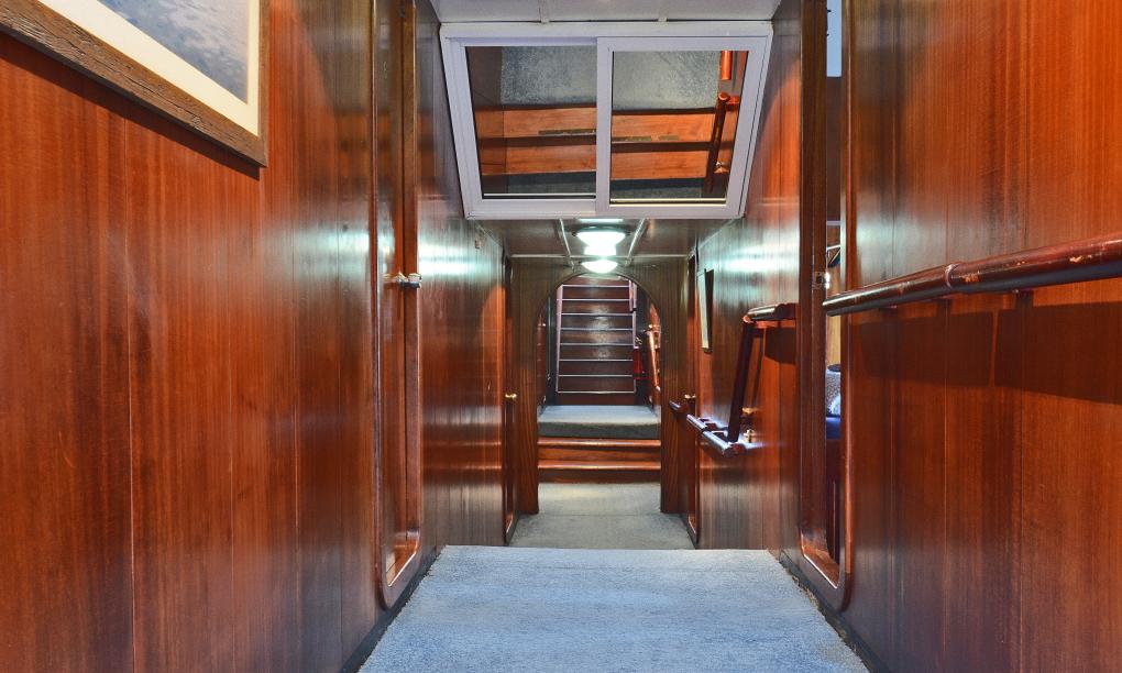 Silhouette Sea Star & Sea Bird