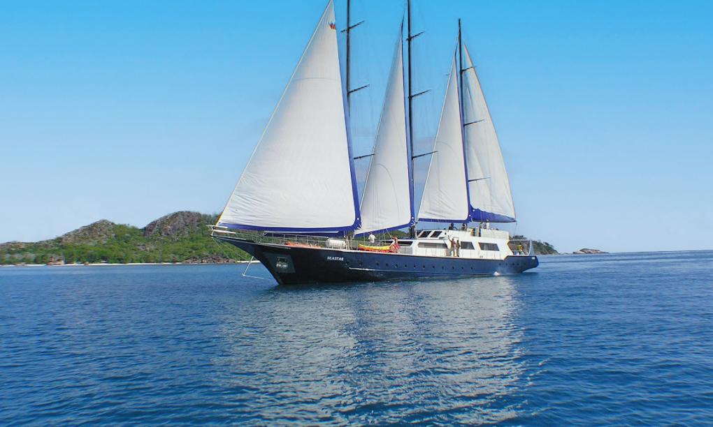 Silhouette Sea Star & Sea Bird