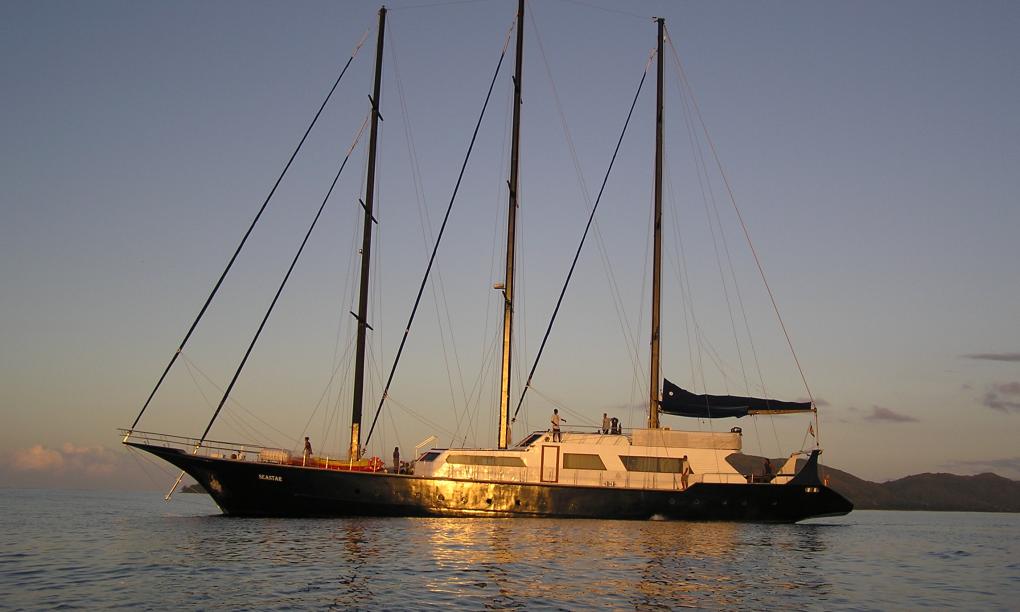 Silhouette Sea Star & Sea Bird